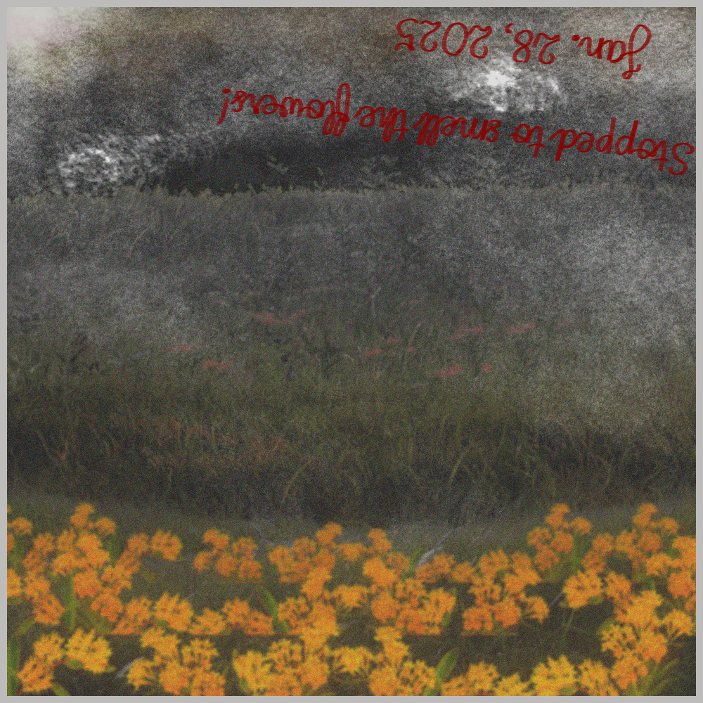 Stopped to smell the flowers?